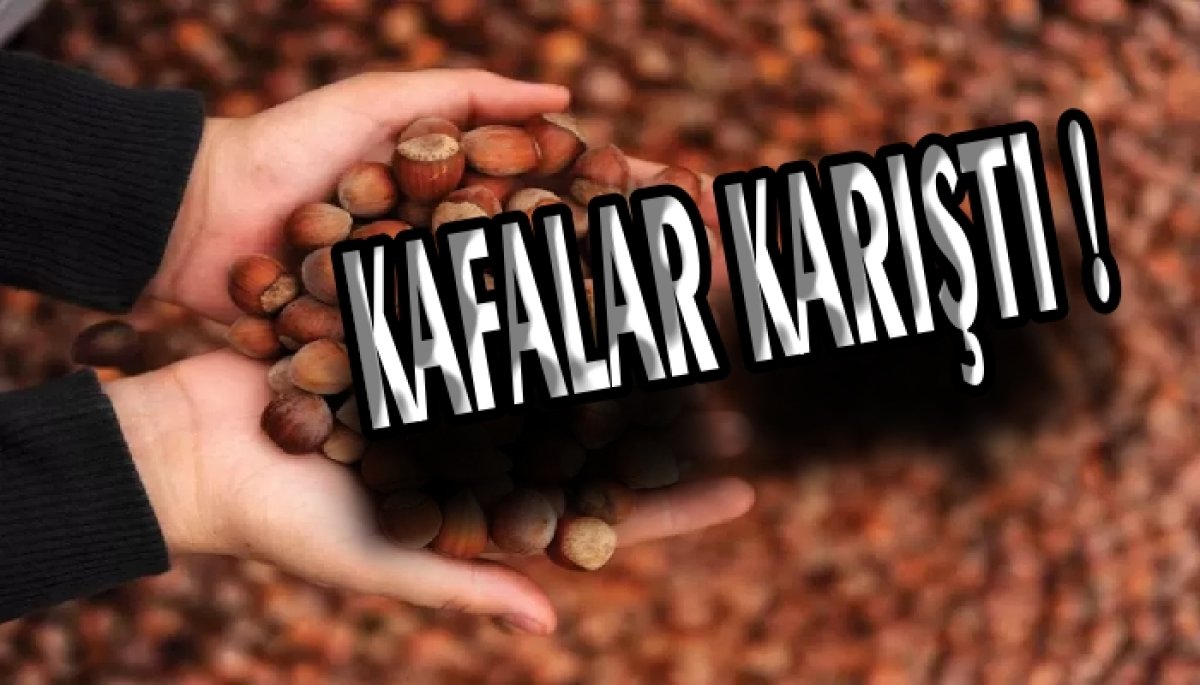 Fındık Fiyatlarında  Beklenmedik Gelişme 