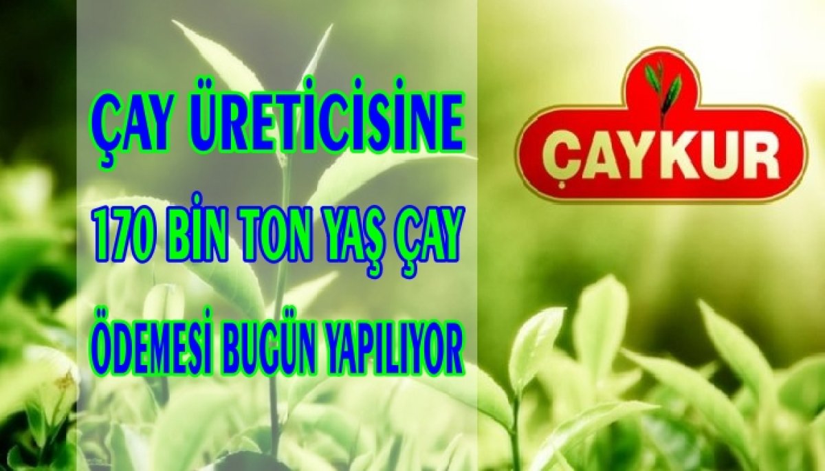 ÇAYKUR'DAN ÜRETİCİLERE DEV ÖDEME MÜJDESİ
