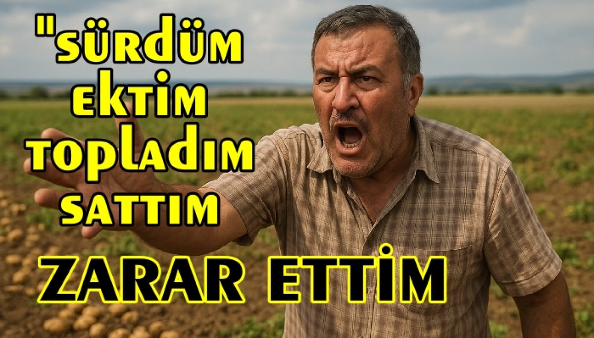 ÇİTÇİ İSYAN EDİYOR: ÇALIŞA ÇALIŞA BATTIK