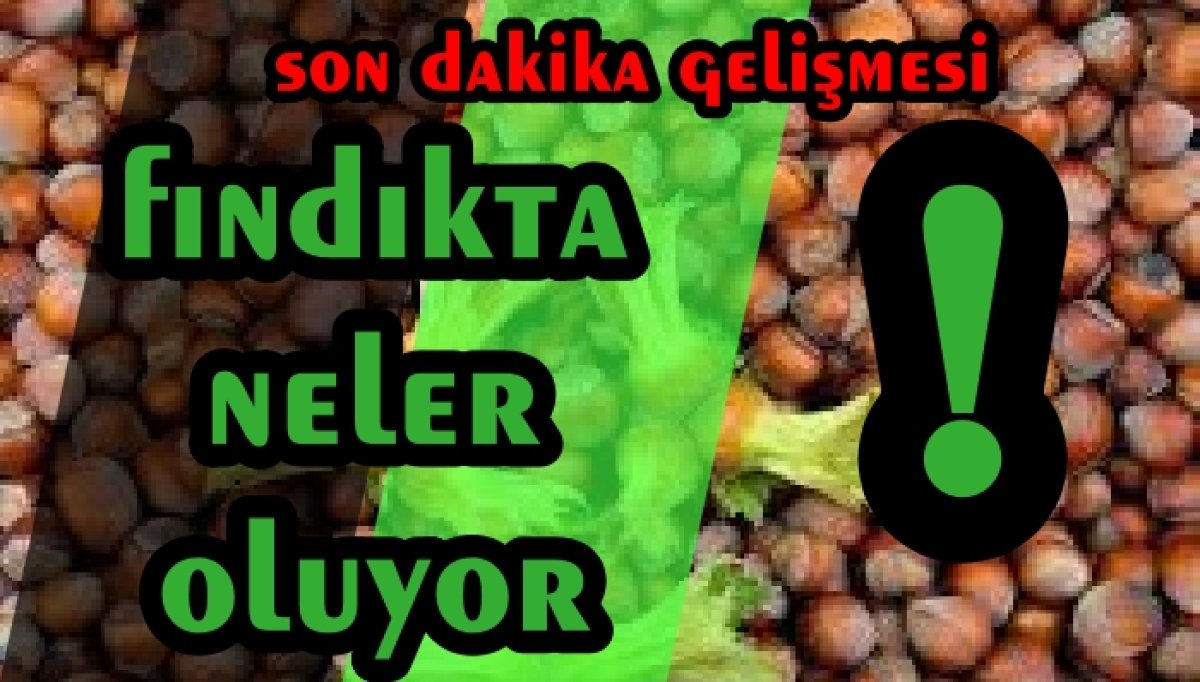 FINDIKTA BİR HALLER OLUYOR 