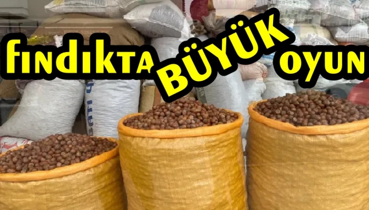 FINDIKTA BÜYÜK BİR OYUN OYNANIYOR 