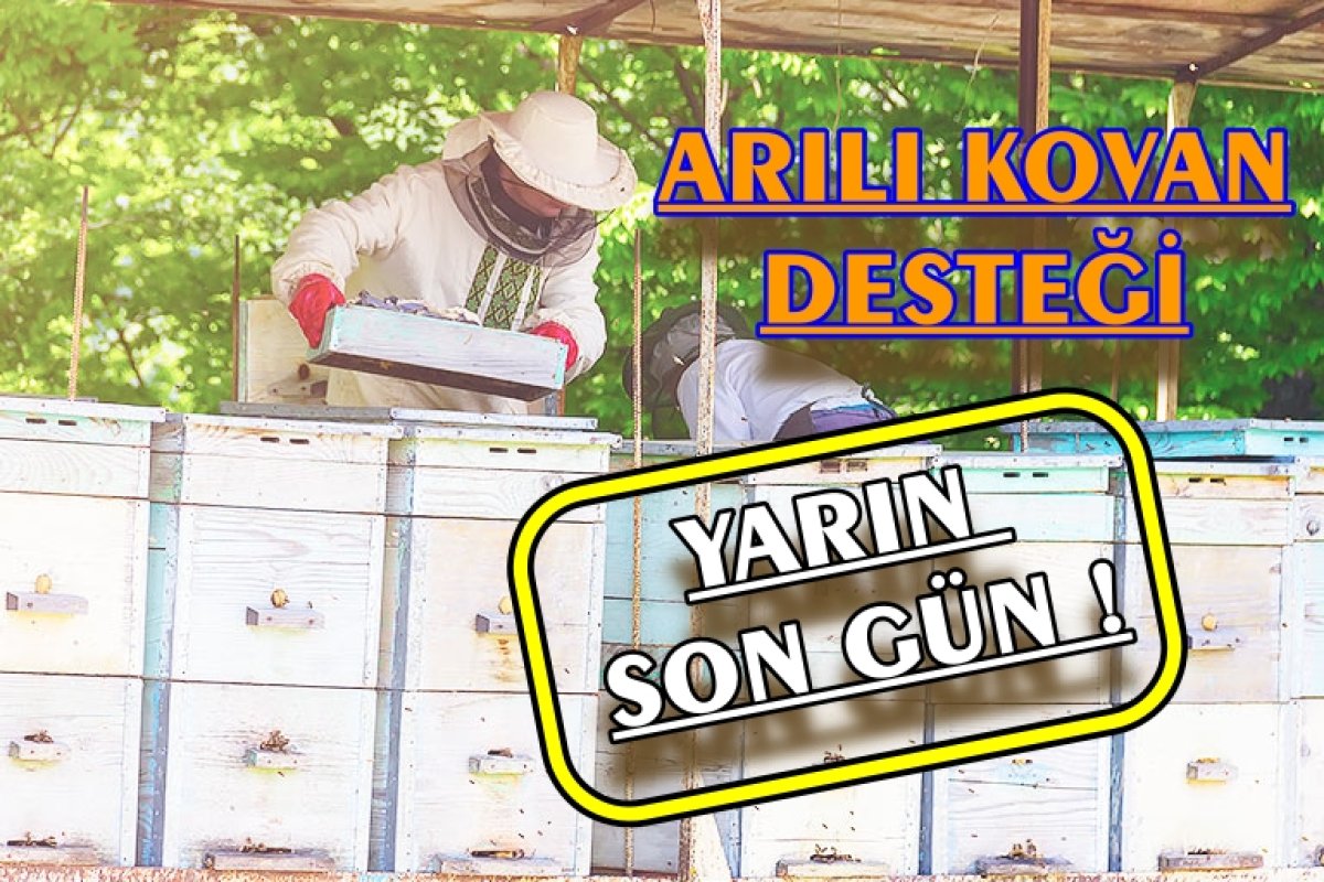 Arılı Kovan Desteğinde Son Gün  14 Kasım