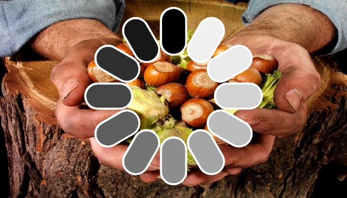 ŞİMDİ BEKLEME ZAMANI !