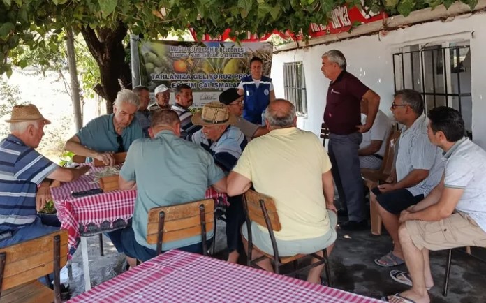 Muğla Büyükşehir’den Zeytin Üreticilerine Eğitim Desteği