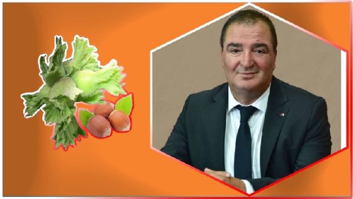 FINDIKTA ALARM ZİLLERİ 