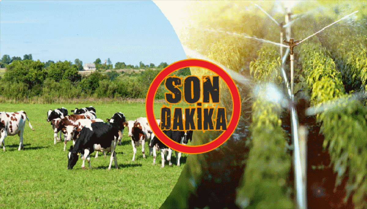 Tarım ve Orman Bakanlığı’ndan Çiftçilere Ödeme