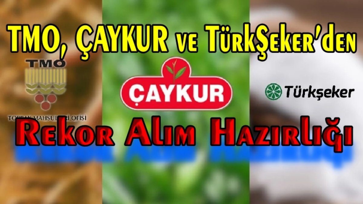 TMO, ÇAYKUR ve TürkŞeker’den Rekor Alım Hamlesi